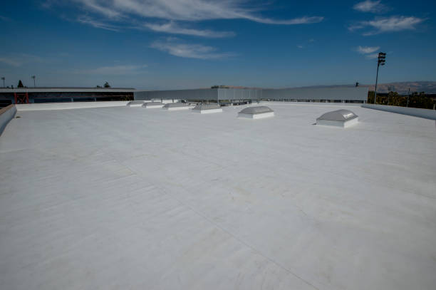 Best Roof Insulation Installation  in Overland, MO