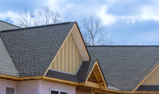 Best Roof Ventilation Installation  in Overland, MO